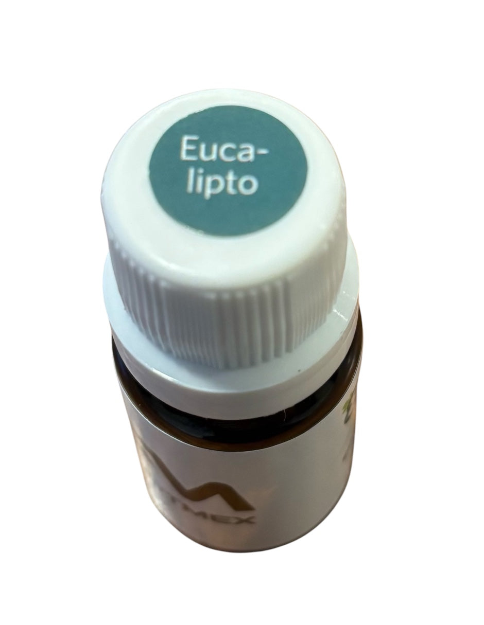 Aceite Esencial Eucalipto 10 mL